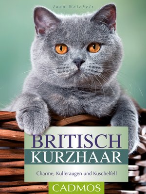 cover image of Britisch Kurzhaar